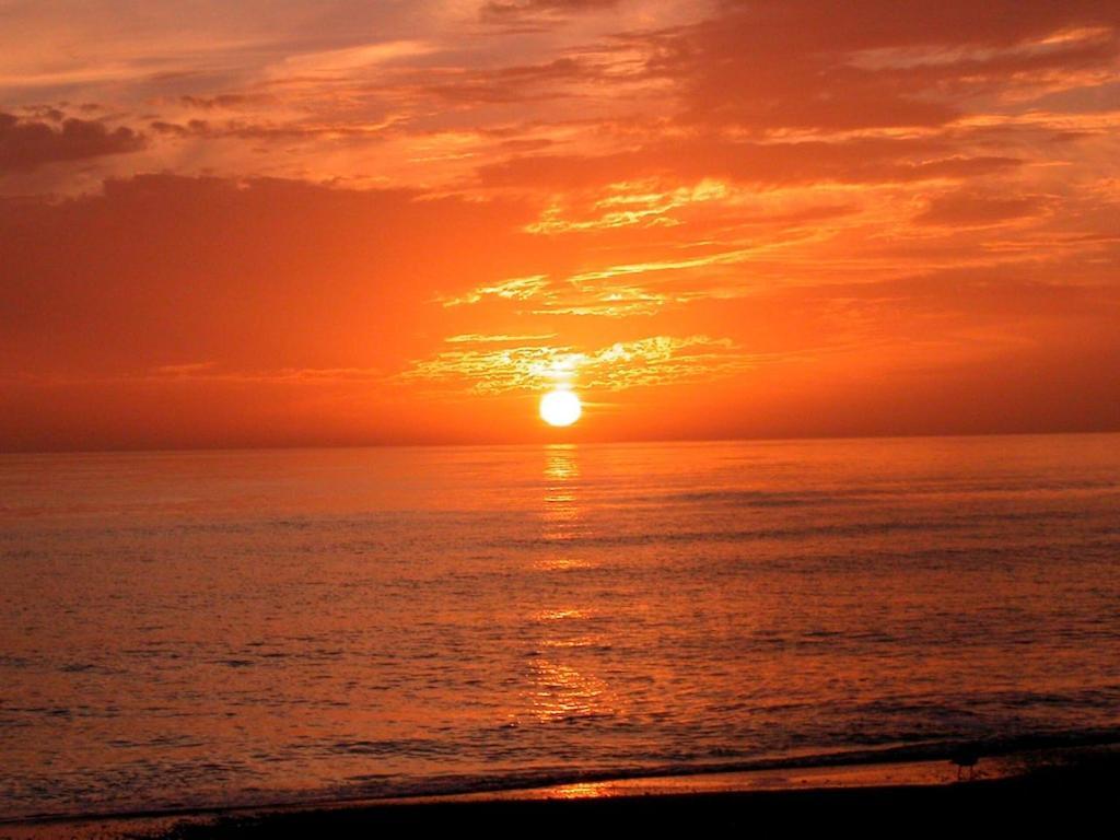 Canal 309 - Right In Siesta Key Village! Luaran gambar